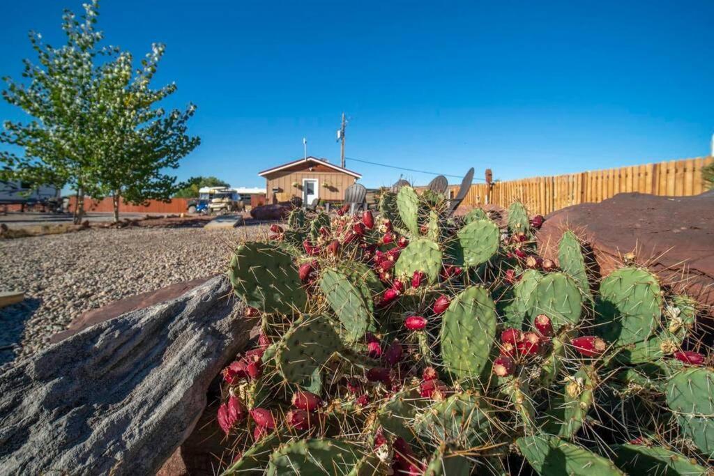 Redrock Moab Tiny House W Large Loft Site 8 Villa Exteriör bild